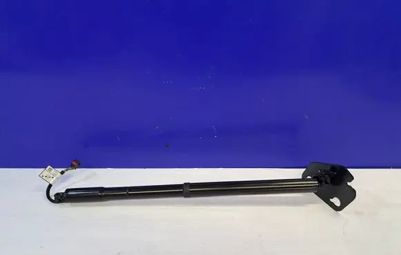 Jaguar XJ X351 Tailgate/trunk strut/damper 925032252