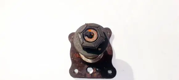 Ford Focus Stub axle 
