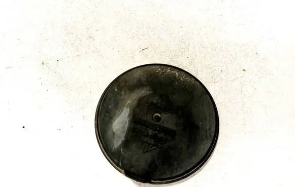 Headlight/headlamp dust cover