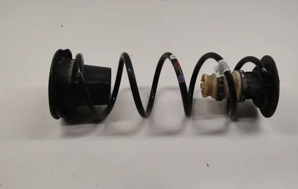 Citroen Berlingo Rear coil spring