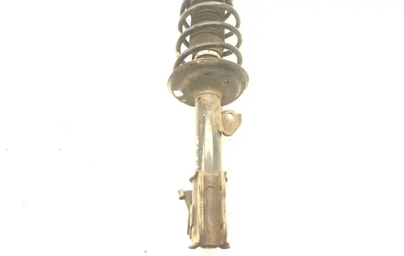 Toyota Urban Cruiser (XP110) Front shock absorber/damper