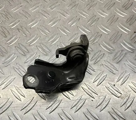 Ford Fusion II Rear door lower hinge 