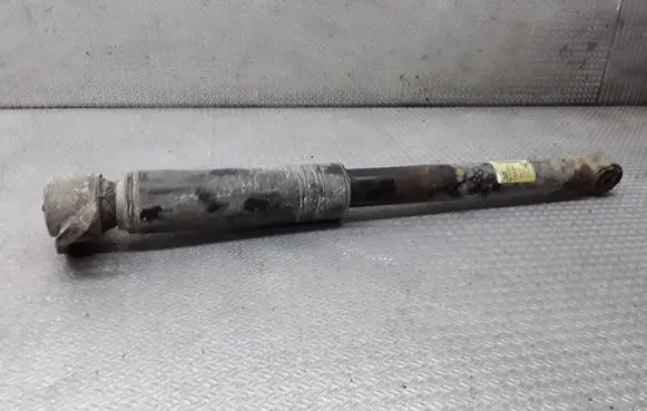 Chevrolet Orlando Rear shock absorber/damper 13348204
