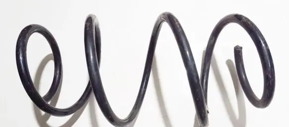 Front coil spring