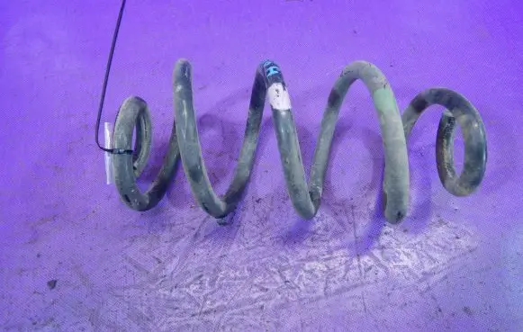 Renault Koleos I Rear coil spring