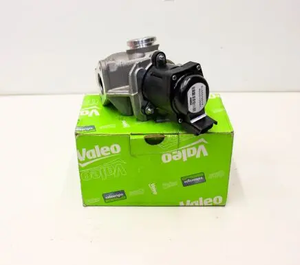 Citroen C4 I EGR valve V29010703 700444