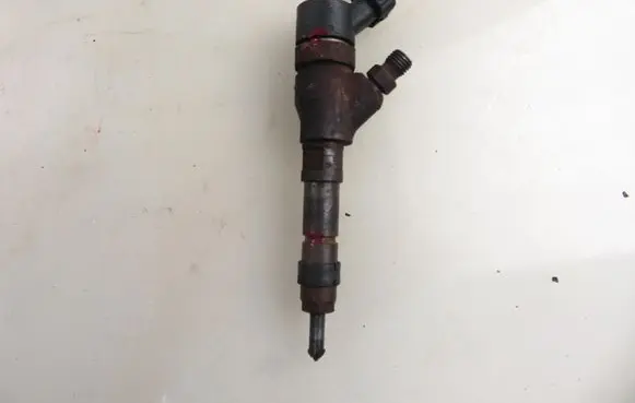 Fiat Ducato Fuel injector 9641742880 0445110076