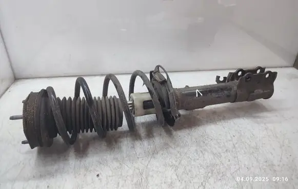 Ford Ecosport Front shock absorber with coil spring