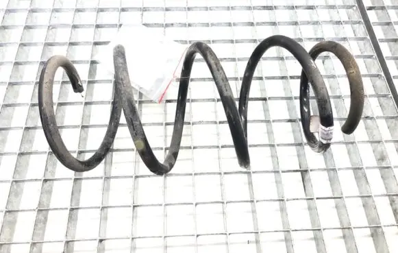Front coil spring