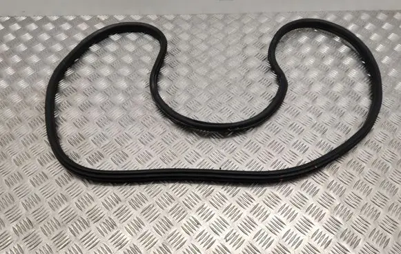 BMW X1 F48 F49 Front door rubber seal 7349628