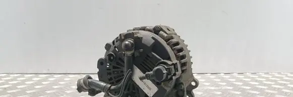 Skoda Octavia Mk2 (1Z) Generator/alternator 305518140