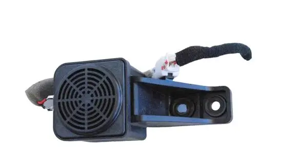 Panel speaker