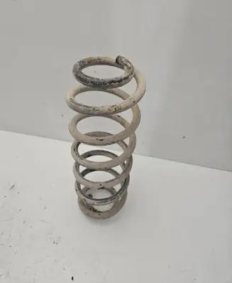 Volkswagen PASSAT B6 Rear coil spring