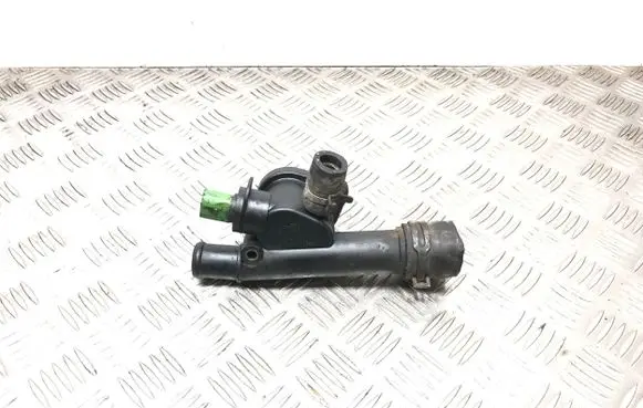 Thermostat/thermostat housing