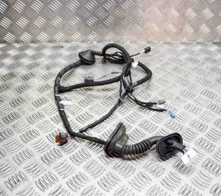 Tesla Model 3 Rear door wiring loom 206796500B