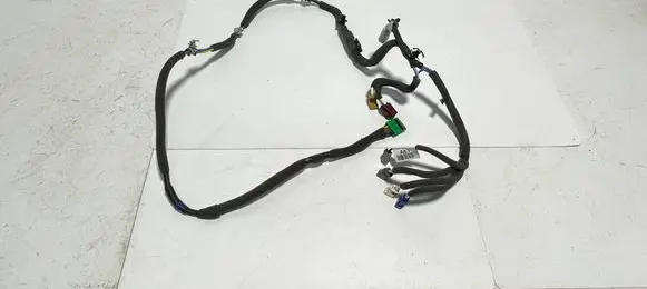 Other wiring loom