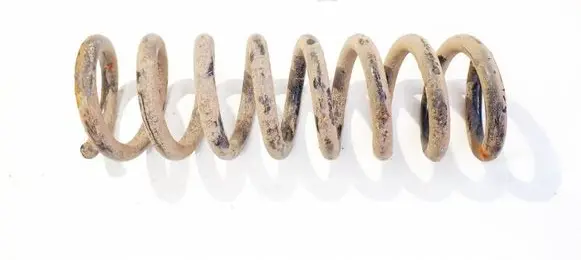 Rear coil spring