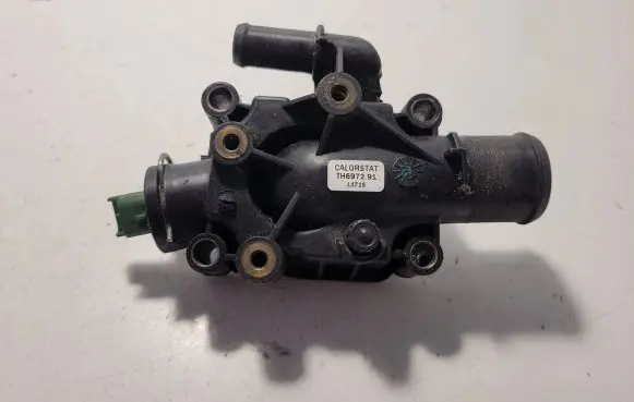 Thermostat/thermostat housing