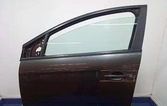 Fiat Bravo Front door 