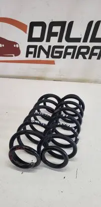 Rear coil spring