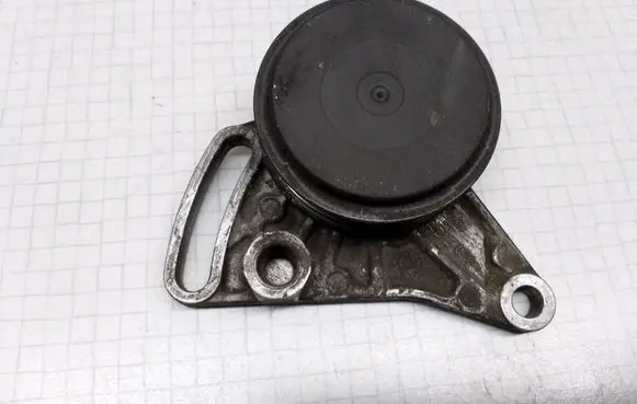 Volkswagen PASSAT B5.5 Belt tensioner pulley 058260511 F224041