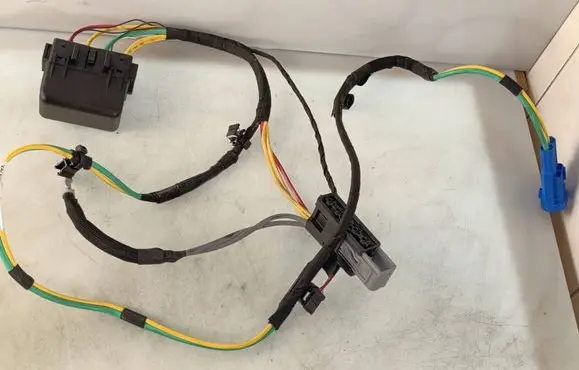 Renault Scenic III - Grand scenic III Other wiring loom 15632591D T1006384KC 28903