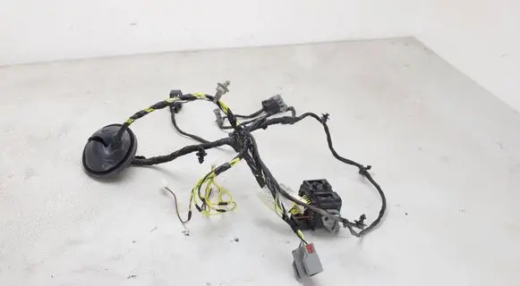 Dodge RAM 1500 DS Other wiring loom P68299629AC AWH3416L0834