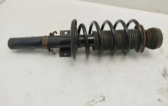 Skoda Roomster (5J) Front shock absorber with coil spring 6Q0413031BL