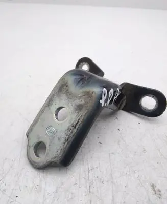 KIA Optima Front door lower hinge 