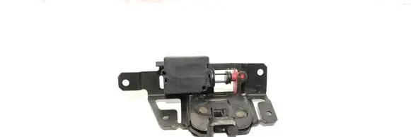 Loading door lock