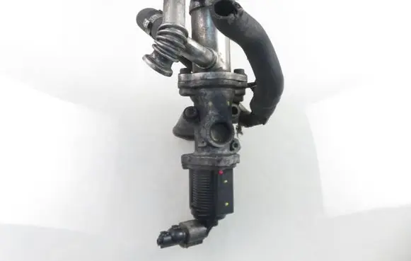 Fiat Punto (199) EGR valve 50024007 55219499 55197846
