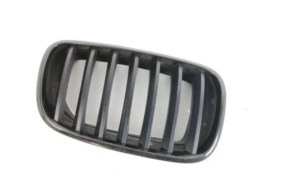 BMW X6 E71 Front grill 7171396 15671610 7157688