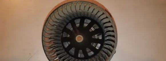 Peugeot 206 Heater fan/blower 64245
