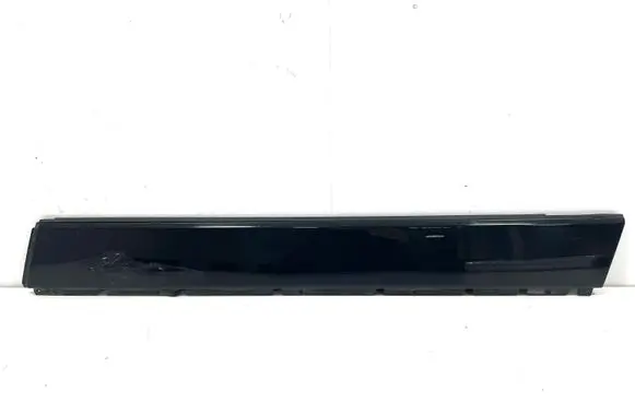 Chevrolet Volt I Front door trim (molding)