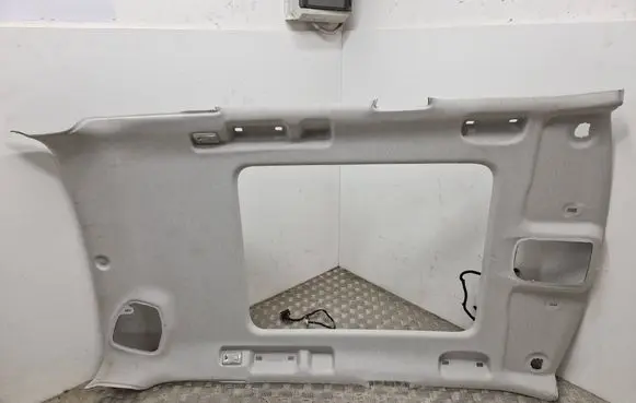 Citroen C3 Aircross Headlining 39161648 1020201134AM 573102280