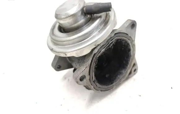 Skoda Octavia Mk2 (1Z) EGR valve 038131501AF 196503154