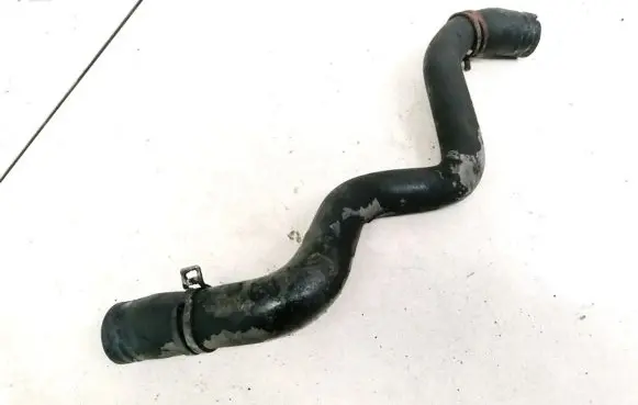 Ford Focus Engine coolant pipe/hose