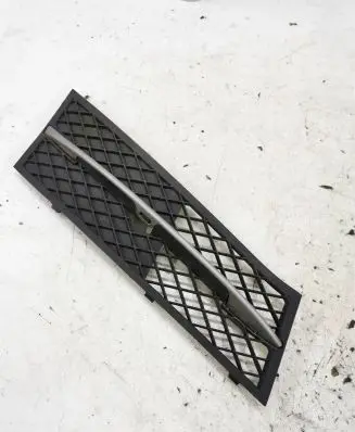 BMW 5 F10 F11 Front bumper lower grill 7200700