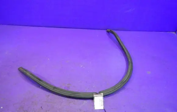 Volkswagen Golf V Front door rubber seal
