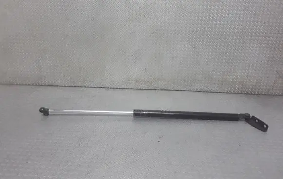 Tailgate/trunk strut/damper