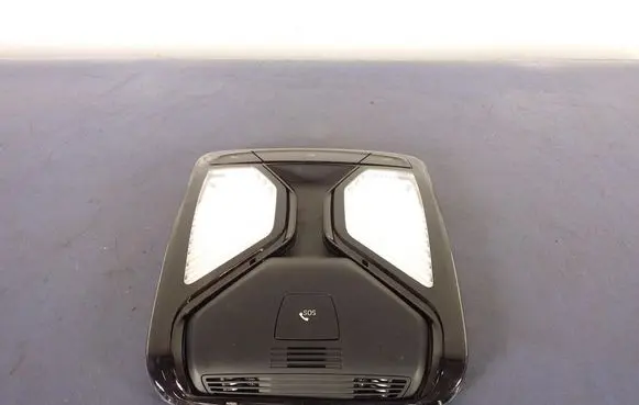 BMW 3 G20 G21 Boot/trunk interior light 5A25160