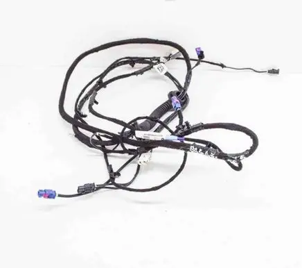 Tesla Model S Other wiring loom 200442900A