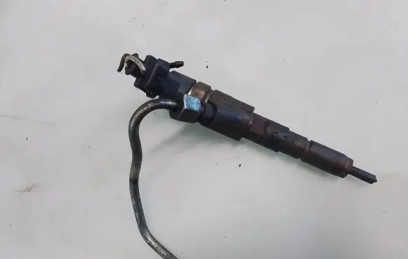 Citroen C5 Fuel injector 0445110076