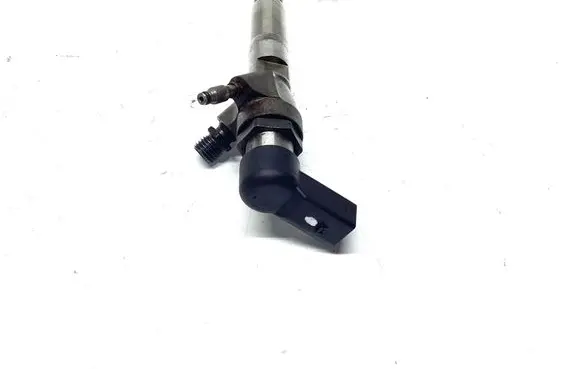 Nissan Qashqai Fuel injector H8201100113 166006212R