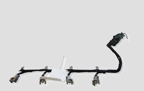 Citroen C5 Fuel injector wires