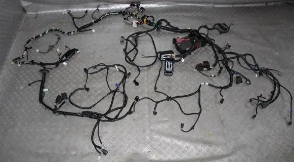 Ford Ranger Wiring harness EB3T14290 A13129855 A12992380000