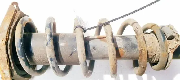Toyota Prius (XW20) Rear coil spring