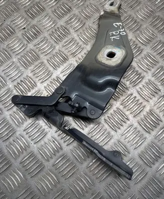 BMW X5 E70 Engine bonnet/hood hinges 7208627
