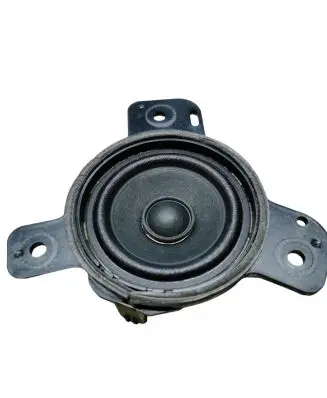 Ford Mustang Mach-E Panel speaker LJ8T18808A M5XUM