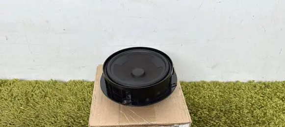 Volkswagen Arteon Rear door speaker 3g0035453